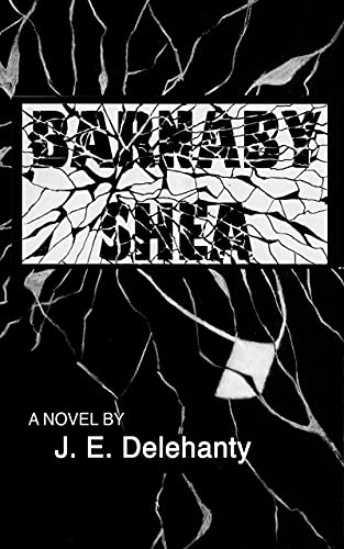 BookView review: Barnaby Shea by J.E.&nbsp;Delehanty