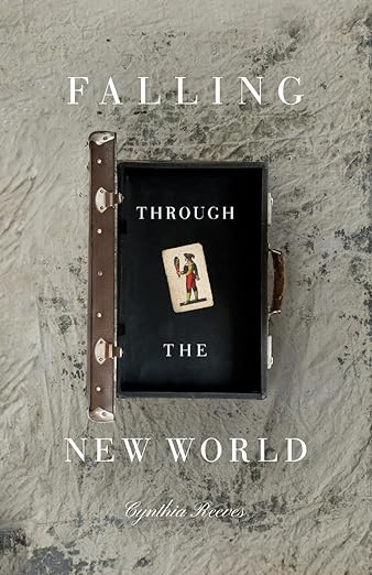 Book review: Falling Through the New World by Cynthia&nbsp;Reeves