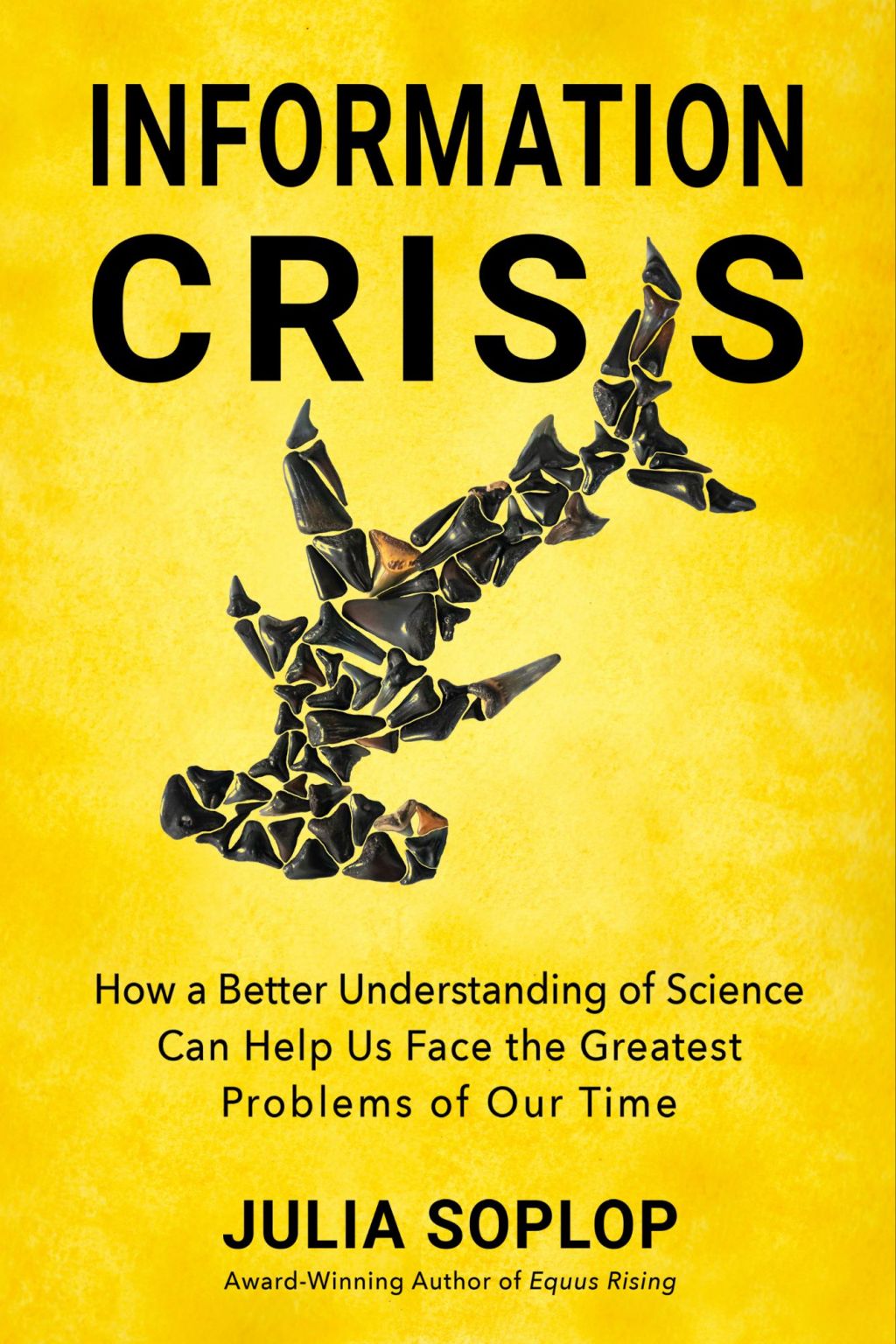 Book review: Information Crisis by Julia&nbsp;Soplop