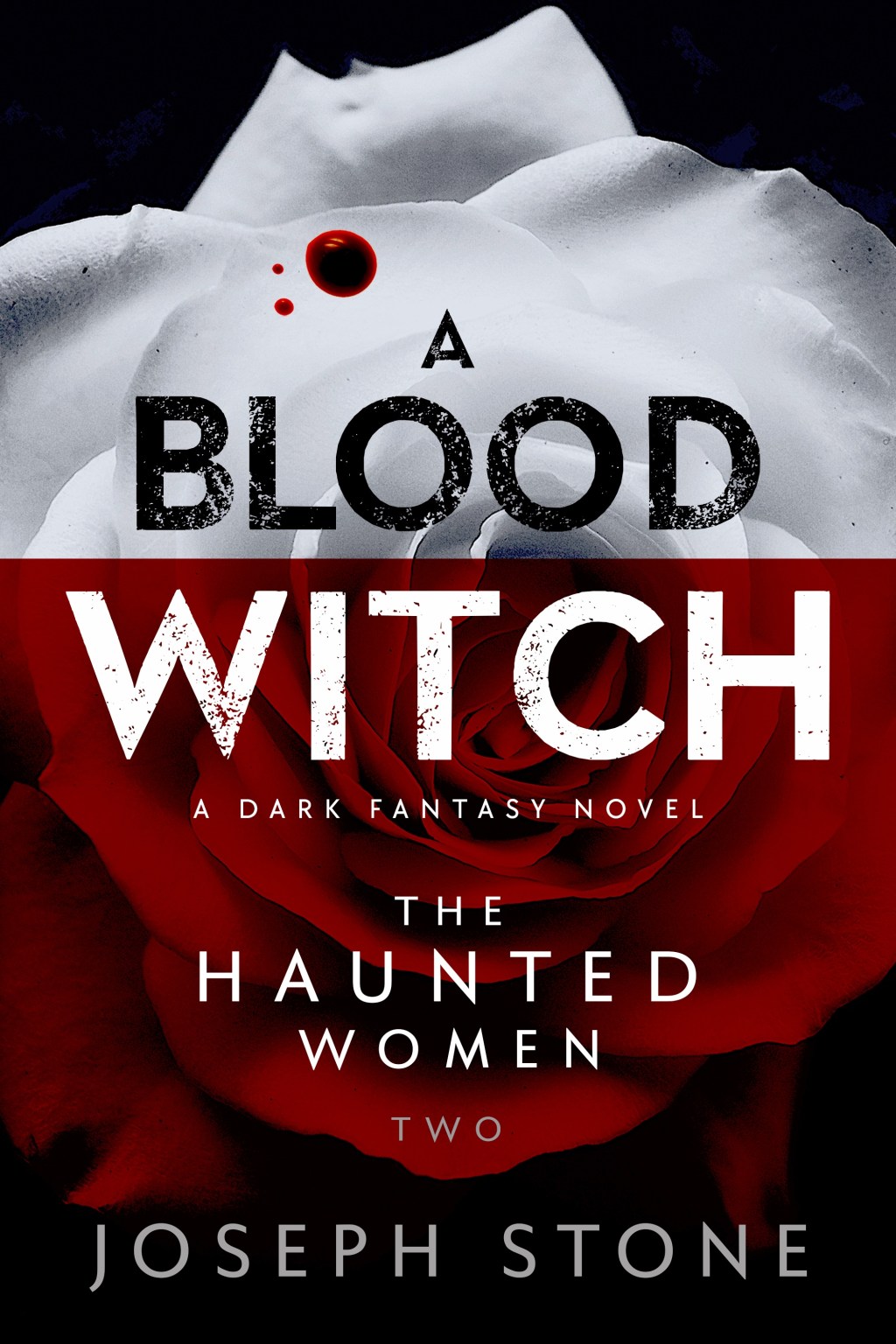 BookView Review: A Blood Witch: The Haunted Women Series, Book 2 by Joseph&nbsp;Stone