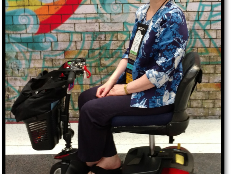 Interview with Author Suzanne Domel&nbsp;Baxter