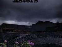 BookView Review: Coal Dust on Purple Asters: A Trilogy of Short Fiction by Jeffrey L&nbsp;Carrier